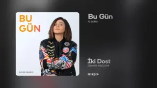Elnare İki Dost