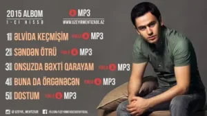 Elvida Geçmişim