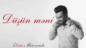 Elvin Mirzezade Düşün Meni Albüm Kapağı