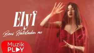Elyf Beni Hatırladın Mı Albüm Kapağı