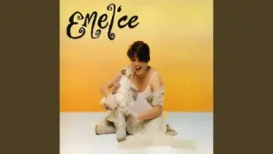 Emel Müftüoğlu Gözümün Feri Albüm Kapağı