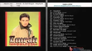 Emrah Hadi Sen Git İşine Albüm Kapağı
