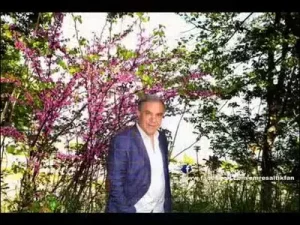 Emre Saltık Ala Gözlü Nazlı Pirim