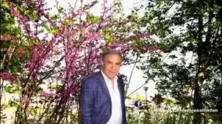 Emre Saltık Ala Gözlü Nazlı Pirim