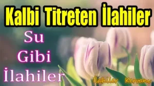 En Çok Dinlenen İlahiler Albüm Kapağı