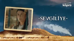 En Sevgiliye Fon Müzikleri Albüm Kapağı