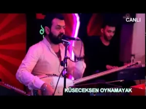 Engin Can Sen Deli Ben Manyak Albüm Kapağı