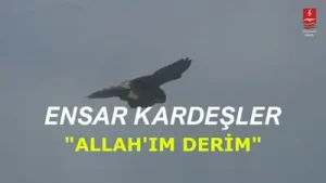 Ensar Kardeşler Allah’ım Derim Albüm Kapağı