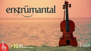 Enstrümantal Müzikleri Albüm Kapağı