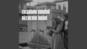 Entarimin Cimcimi Bilemedim İncimi Mira Sarp Albüm Kapağı