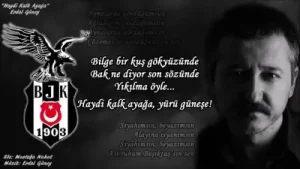 Erdal Güney Haydi Kalk Ayağa Albüm Kapağı
