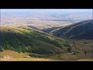 Ergün Efe Dağlar Oy