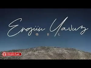 Ergün Yavuz Gel