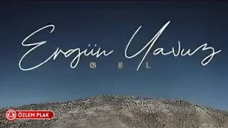 Ergün Yavuz Gel