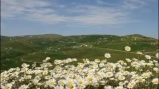 Erkan Oğur Karşıda Görünen Ne Güzel Yayla