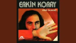 Erkin Koray Hayat Bir Teselli Albüm Kapağı