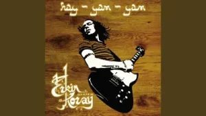 Erkin Koray Hayat Katarı Albüm Kapağı