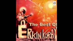 Erkin Koray Şaşkın Albüm Kapağı