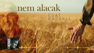 Esat Kabaklı Nem Alacak Albüm Kapağı