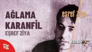 Eşref Ziya Terzi Ağlama Karanfil Albüm Kapağı