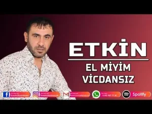 Etkin El miyim Vicdansız Albüm Kapağı