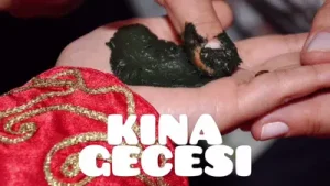 Evimizin Neşesi Kına Gecesi Albüm Kapağı