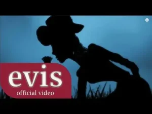Evis Bakmadın Giderken