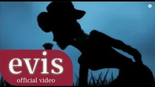 Evis Bakmadın Giderken