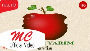 Evis Diğer Yarım Albüm Kapağı
