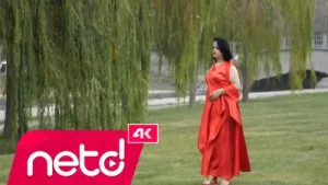 Evrim Can Vay Bana Albüm Kapağı