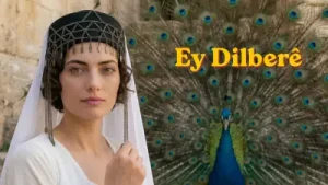 Ey Dilbere Albüm Kapağı