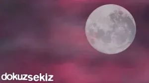 Ezginin Günlüğü Benim Sevdiğim Adam Albüm Kapağı