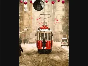 Ezginin Günlüğü Leyla Albüm Kapağı