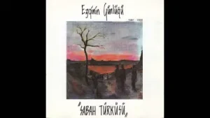Ezginin Günlüğü Odam Kireç Tutmuyor Albüm Kapağı