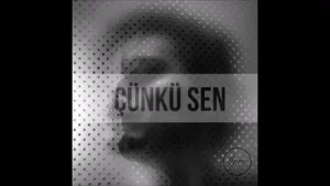Fatih Ermetin Çünkü Sen Albüm Kapağı