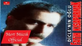 Fatih Kısaparmak Ben Nasıl Edem