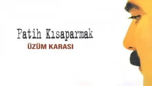 Fatih Kısaparmak Üzüm Karası Albüm Kapağı