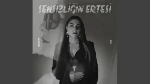 Fatma Özkılavuz Sensizliğin Ertesi Albüm Kapağı