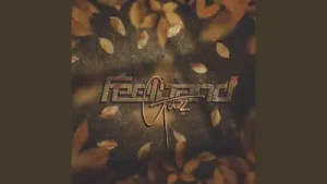 Feel Band Güz Albüm Kapağı