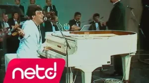 Ferdi Özbeğen Gündüzüm Seninle Albüm Kapağı