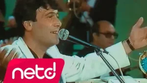Ferdi Özbeğen Şerefine Sevenlerin Albüm Kapağı