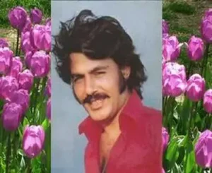 Ferdi Tayfur Ben de Özledim Albüm Kapağı