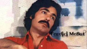 Ferdi Tayfur Beni Düşünme Artık Albüm Kapağı