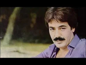 Ferdi Tayfur Bilemezsin Sen Albüm Kapağı