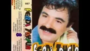 Ferdi Tayfur Nerelerdesin Sultanım Albüm Kapağı