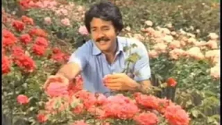 Ferdi Tayfur Sana Benziyor