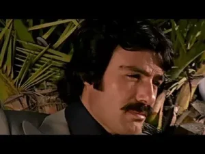 Ferdi Tayfur Söyleyin Yıldızlar Albüm Kapağı