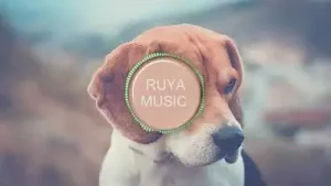 Ferhat Şahan Ya Leyli Ft Serdal Demir Albüm Kapağı