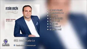 Fesih Laçin Mahmudo Lo Albüm Kapağı