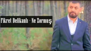 Fikret Delikanlı Ne Zormuş Albüm Kapağı